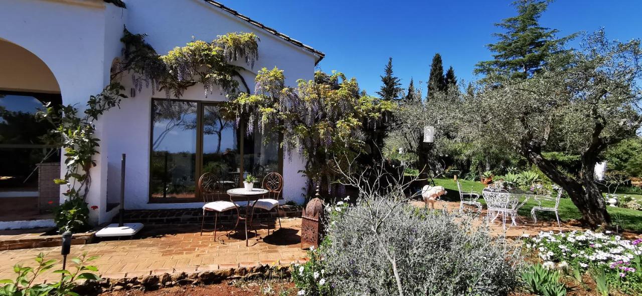 Roca Verde, Boutique Bed & Breakfast (Adults Only) Alhaurín de la Torre Dış mekan fotoğraf