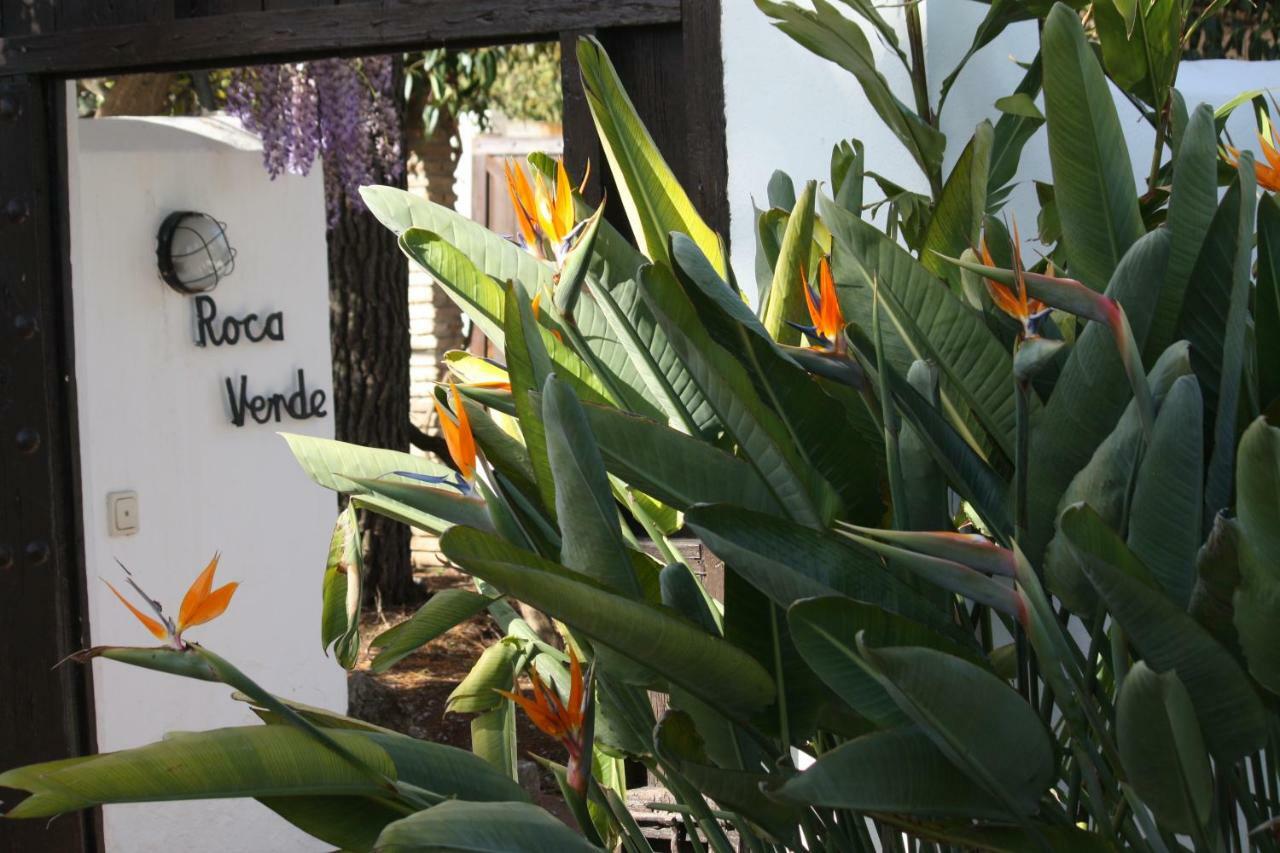 Roca Verde, Boutique Bed & Breakfast (Adults Only) Alhaurín de la Torre Dış mekan fotoğraf